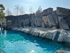-上海野生动物园