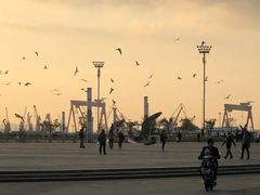 -东港音乐喷泉广场