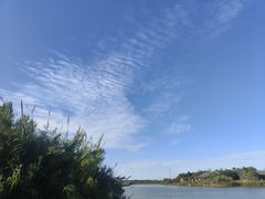 -宁波杭州湾国家湿地公园
