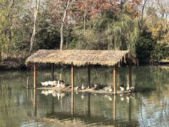 -溱湖国家湿地公园