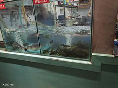 -喜欢吃鱼(非遗博览园总店)