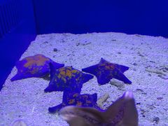 -青岛海底世界-水族馆