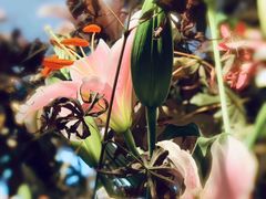 -春暖花开(西溪店)
