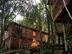 -天门沟九州驿站树上汤泉