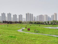 -洋湖国家湿地公园