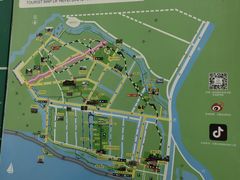 -合肥滨湖国家森林公园