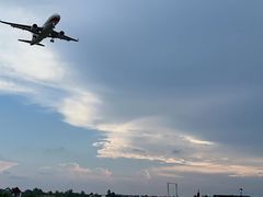 -空港花田景区