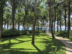 -味餐厅·海鲜·火锅·自助餐