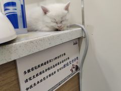 -萌兽医馆·犬猫专科·眼科中心·宠物医院(朝阳门分院)