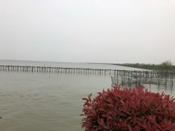 -水八仙生态园