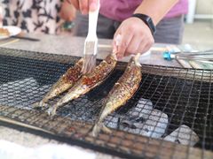-吴淞炮台湾湿地森林公园烧烤区