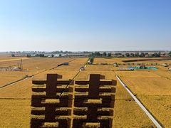 -稻梦空间冰雪小镇