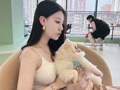 -怪兽屋·羊驼·猫咖·狗咖(俊华广场店)