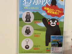 -阿苏山