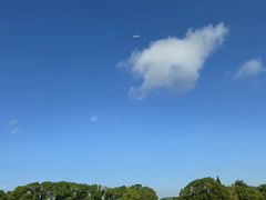 -胜华驾校·小猫学车(银都店)