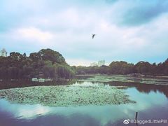 -桔子酒店(南京新街口张府园地铁站店)