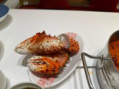 -京彩臻品火锅
