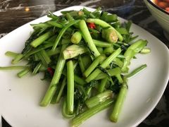 水芹菜-风味小馆(天目湖宾馆店)