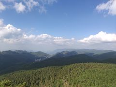 -武陵山森林公园