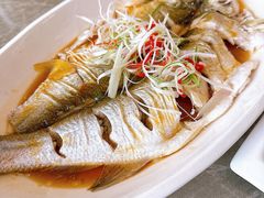 清蒸白丝鱼-状元楼(金溪路店)