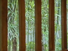 -成都杜甫草堂博物馆