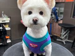 -宠宠熊宠物美容(星湖街店)