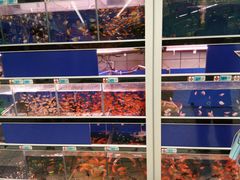 -大润发(王庄店)