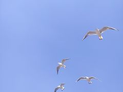 -捞渔河湿地公园