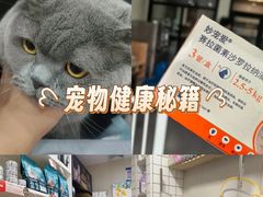 -瑞派宠物医院·犬猫全科·猫友好(宾水西道店)