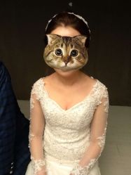 点击看大图 -THE QUEEN(北京店)