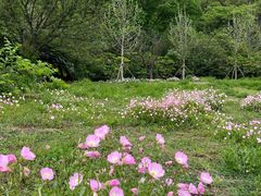 -贵阳市花溪国家城市湿地公园