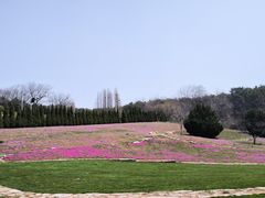 -棒棰岛宾馆景区