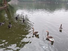 -石家庄市动物园