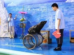 -左海海底世界