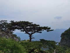 -圣莲山风景区