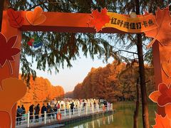 -上海海湾国家森林公园