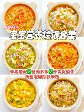 10M辅食|宝宝烩饭合集 荤素搭配营养开胃