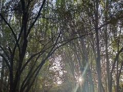 -艾提尕尔清真寺