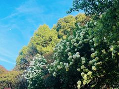 -杭州城北体育公园