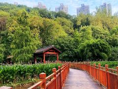 -重庆彩云湖湿地公园