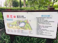 -陈家山荷花公园