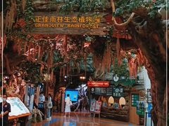 -正佳雨林生态植物园
