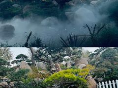 -罗红摄影艺术馆