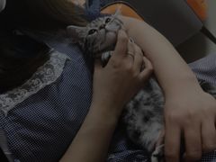-lincat·猫舍(广州店)