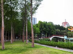 -金砂公园