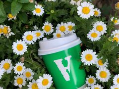 -ALPHA COFFEE阿尔法咖啡(虹泉路店)