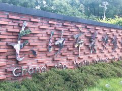 -长沙市青少年宫