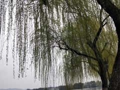 -西湖外事游船(花港观鱼码头)