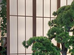 -桃夭日式料理(国信店)