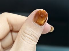 -海底捞火锅(世豪广场店)